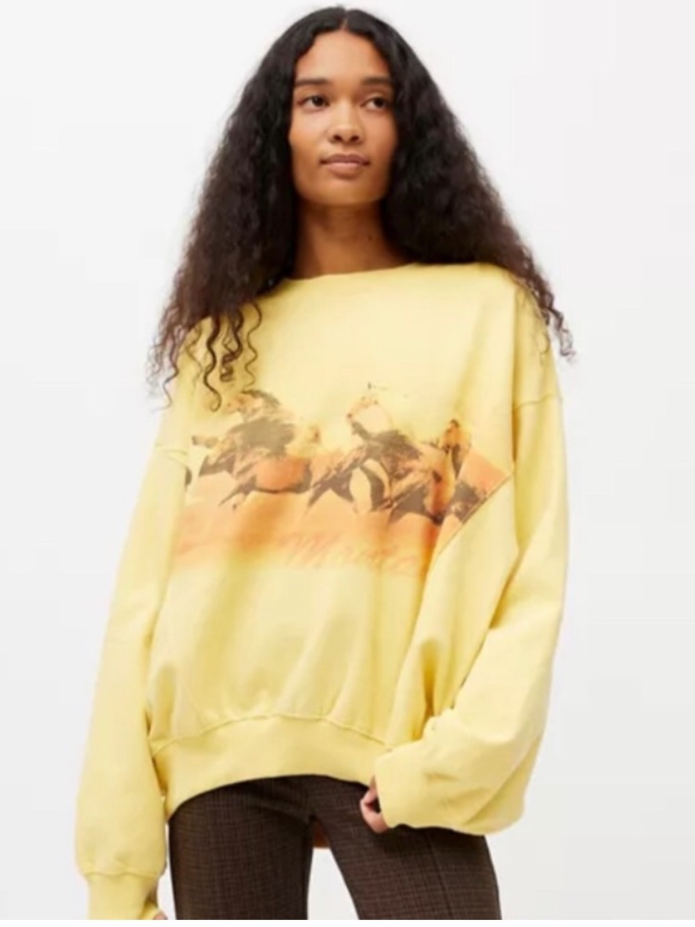Urban Outfitters Montana Wild Horses Oversized Sweatshirt M